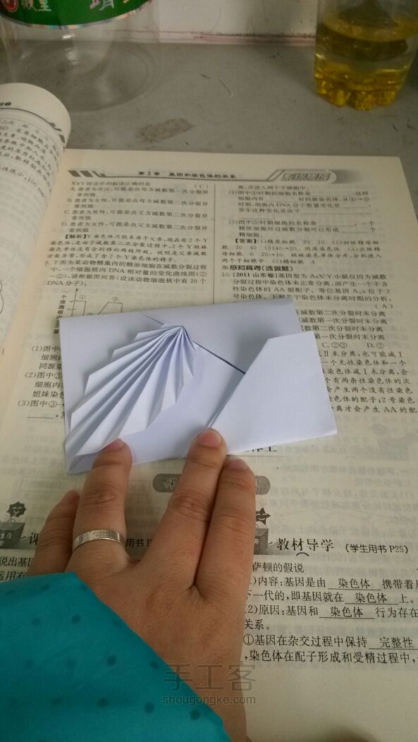 相思叶信纸折纸教程 第11步