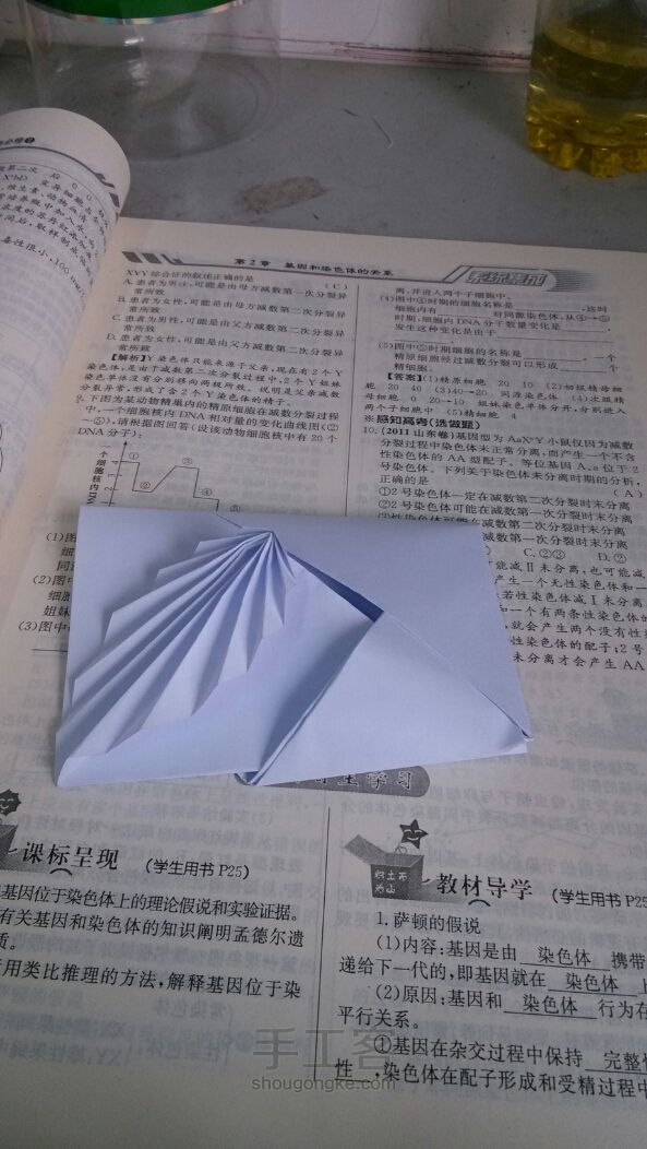 相思叶信纸折纸教程 第12步