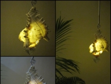 海螺壳吊灯