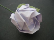 《越狱》中Michael送给Sara的那个动人的纸玫瑰，其实本名叫做川崎玫瑰，以其发明者 Toshikazu Kawasaki 先生命名。非常逼真漂亮的玫瑰花形，一大把插在瓶中，几可乱真 。 
（不是我的教程）
