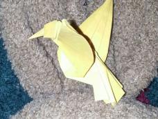 折纸爱好者初来乍到，送上一只小小鸟。希望与各位分享，切磋哦！