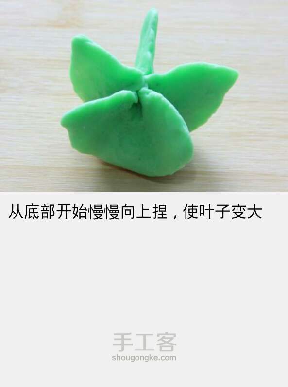 翡翠白菜 第24步