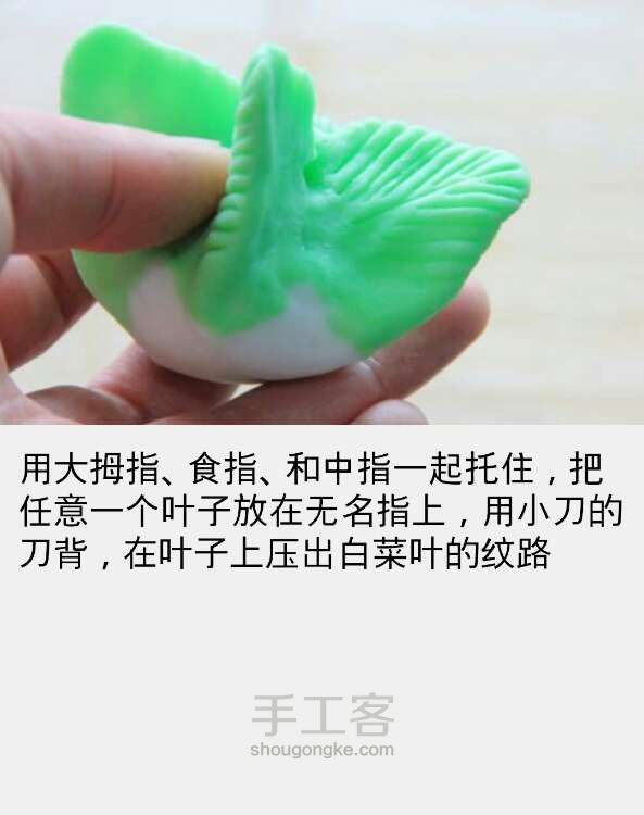 翡翠白菜 第25步