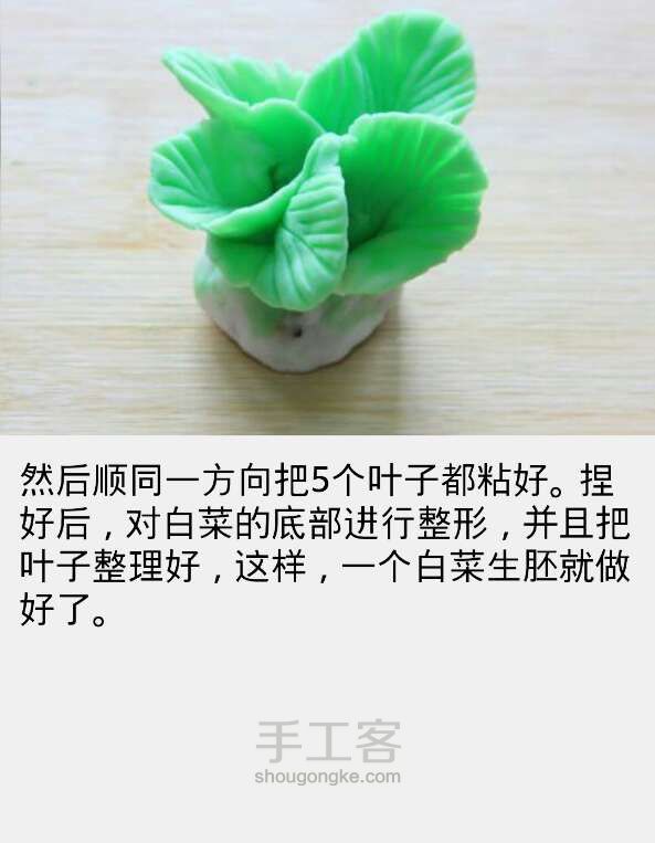 翡翠白菜 第27步