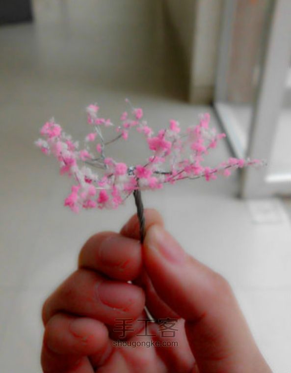 猫七菇凉之樱花树 第6步