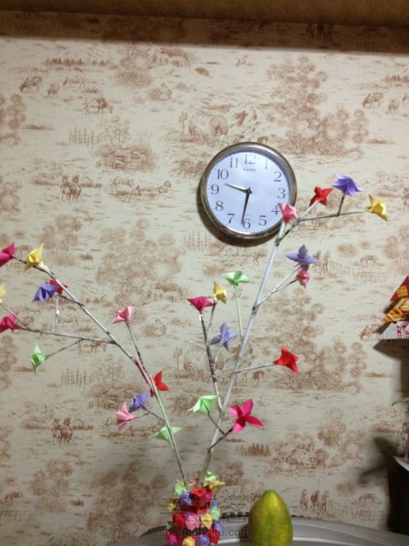 万树从中枝角一畔春色 第2张