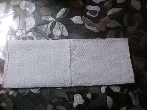 用餐巾纸叠玫瑰花教程 第3步