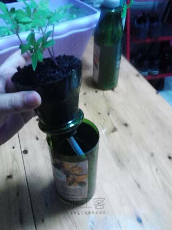 废弃乳液瓶做花盆 第7步