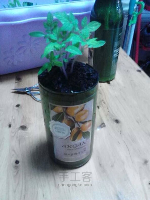 废弃乳液瓶做花盆 第8步