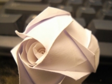 这个手工折纸玫瑰的折法教程所讲解的就是经过修改的川崎玫瑰的折法。整体在折法上变得更加简单一些，但是最终制作出来的手工折纸玫瑰在样式上还是非常的漂亮。这种简易化的改进往往更加容易受人们的欢迎，主要是经过改进之后制作起来不但更加的轻松，也不会和别人制作出来的手工折纸川崎玫瑰有所重复。如果大家都制作的是手工折纸川崎玫瑰的话，最终拿到一起展示出来基本上给人的感觉就是无聊和乏味了，所以需要一些不一样的变化在里面。如果你还没试过这个折纸玫瑰教程，现在就动手制作看看吧。
