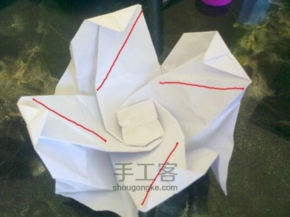修改版手工折纸川崎玫瑰的折法 第17步