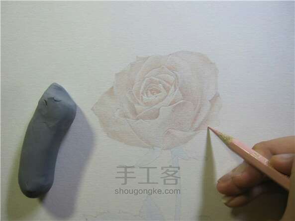 彩铅手绘玫瑰花 第2步