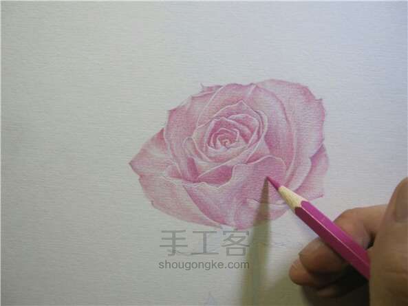 彩铅手绘玫瑰花 第3步