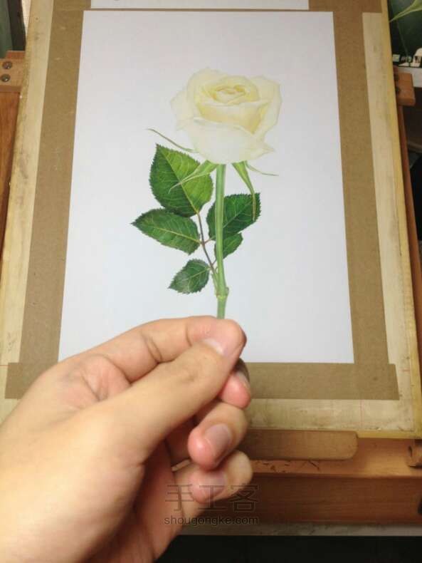 油性彩铅手绘玫瑰 第6步