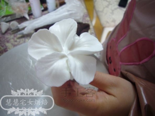 慧慧的奶油裱花之----五瓣花制作 第6步