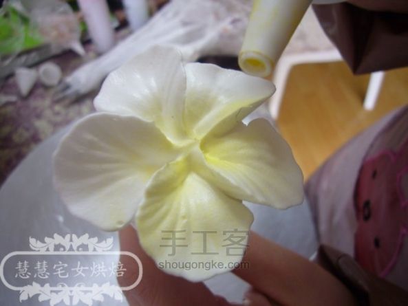 慧慧的奶油裱花之----五瓣花制作 第7步