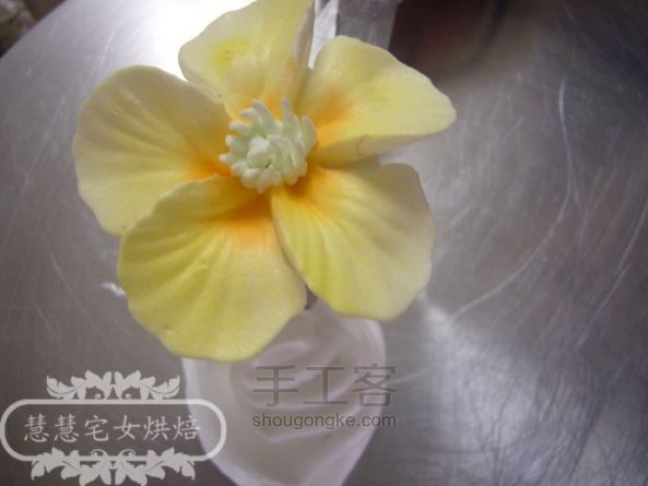 慧慧的奶油裱花之----五瓣花制作 第10步