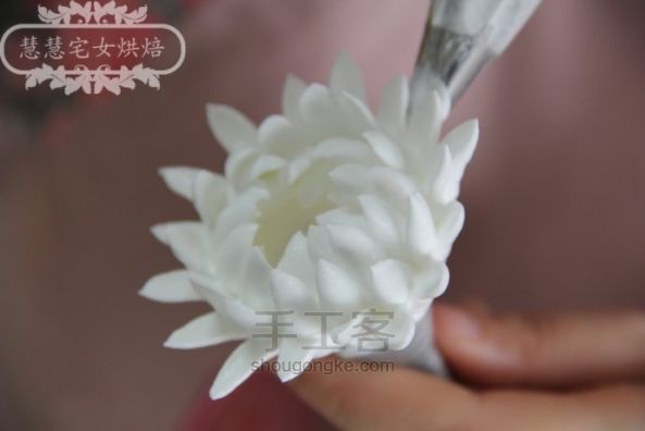 慧慧的奶油裱花之----菊花 第10步