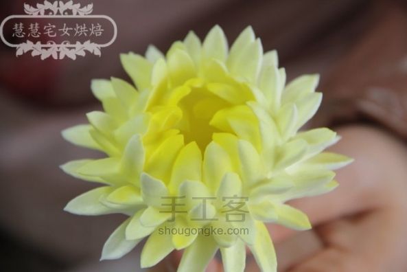 慧慧的奶油裱花之----菊花 第12步