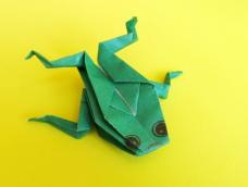 	喜欢折纸的朋友一定都折过纸鹤和小青蛙。


	纸鹤和小青蛙的折纸图解教程


	