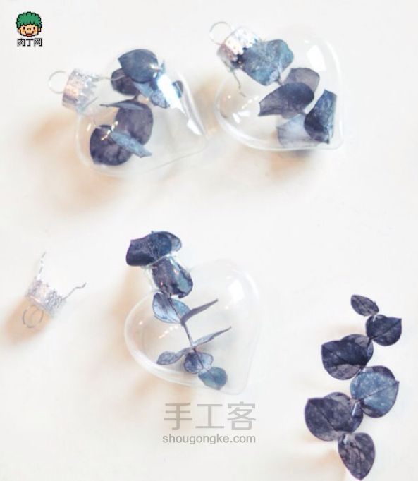 【发现】叶子与心的碰撞 第1步