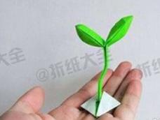 用一张绿色正方形彩纸折出生机勃勃的可爱的小绿芽吧