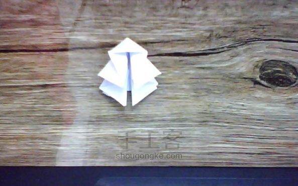 折纸星座——天蝎座 第6步