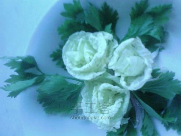 盘花 第1步