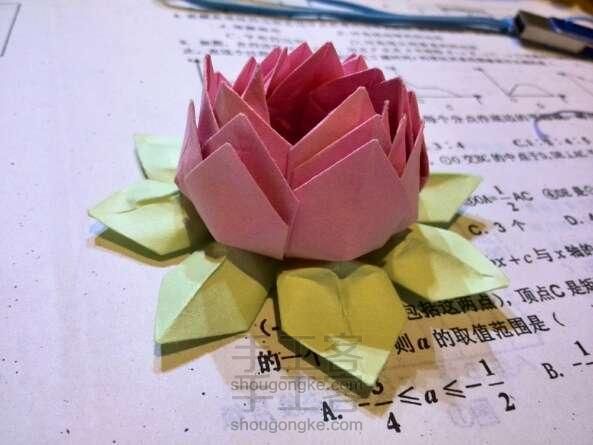 手巧生莲花