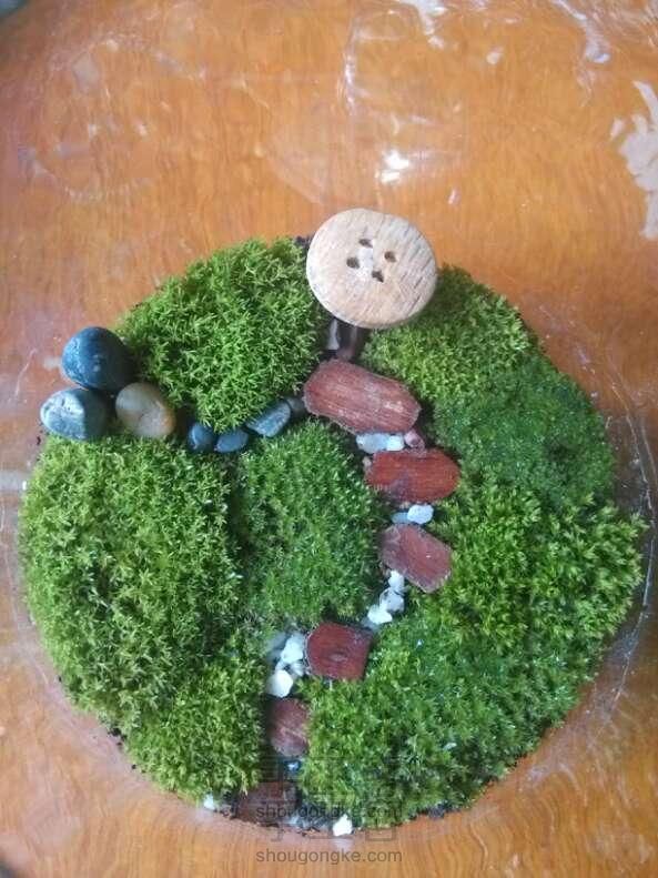 处处是苔藓