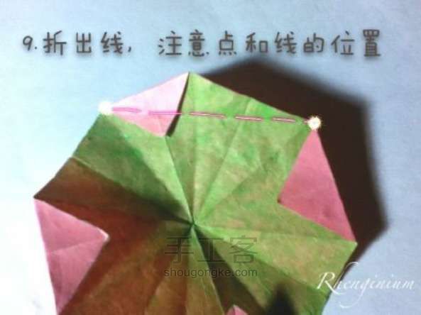 喵子-朱槿 第8步