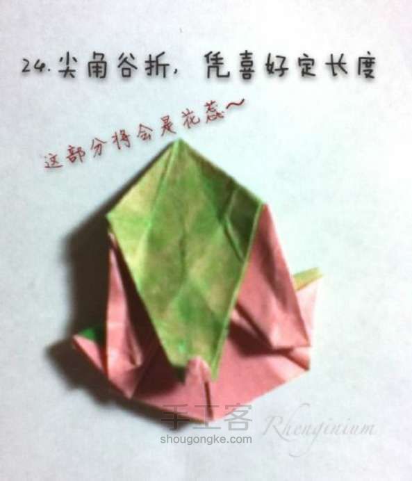 喵子-朱槿 第24步