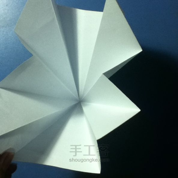 花。折纸教程 第6步