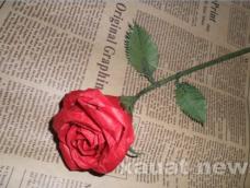 酒杯玫瑰和欧美玫瑰都是玫瑰折纸中的极品。美丽而端庄，妖艳而不失优雅。