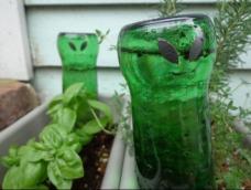 这些外星人的工作是浇水，可以用回收的绿色玻璃瓶制成！ 
它们是完美的小型容器的植物的陪伴，如室内和室外的香草或鲜花！