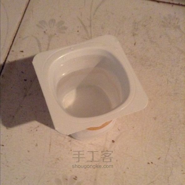 酸奶盒种油菜籽 第4步