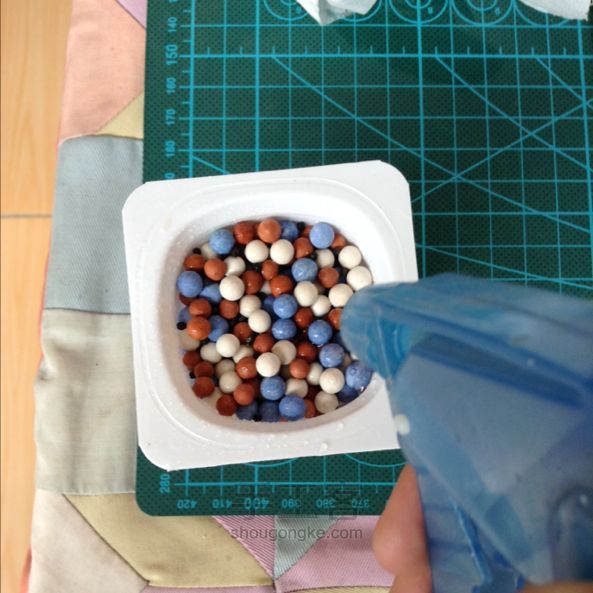 酸奶盒种油菜籽 第9步