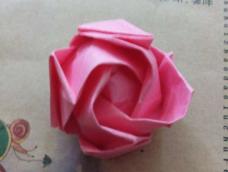 折玫瑰。