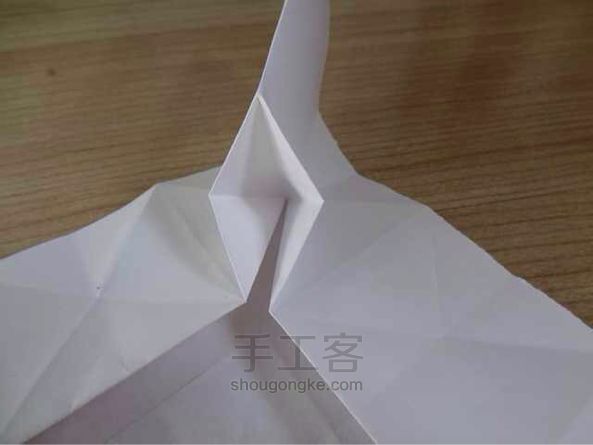 莲花折纸教程 第13步