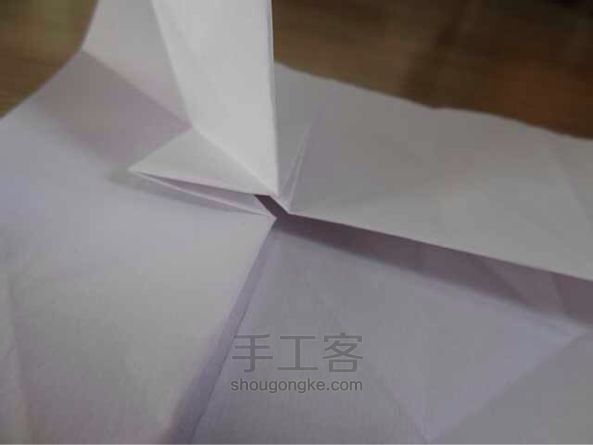莲花折纸教程 第14步