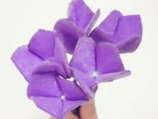 暖香如兰手捧花其中一种花花—紫罗兰。非常简单哦，我们一起来学习吧。