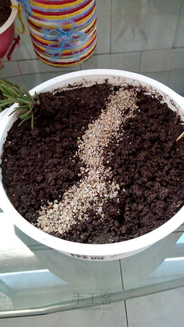 清新小盆栽 园艺盆景DIY 第2步