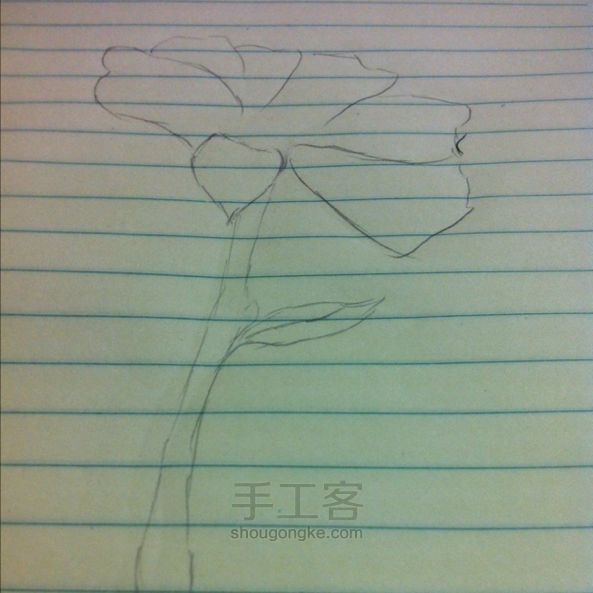 花儿朵朵手绘 第1步