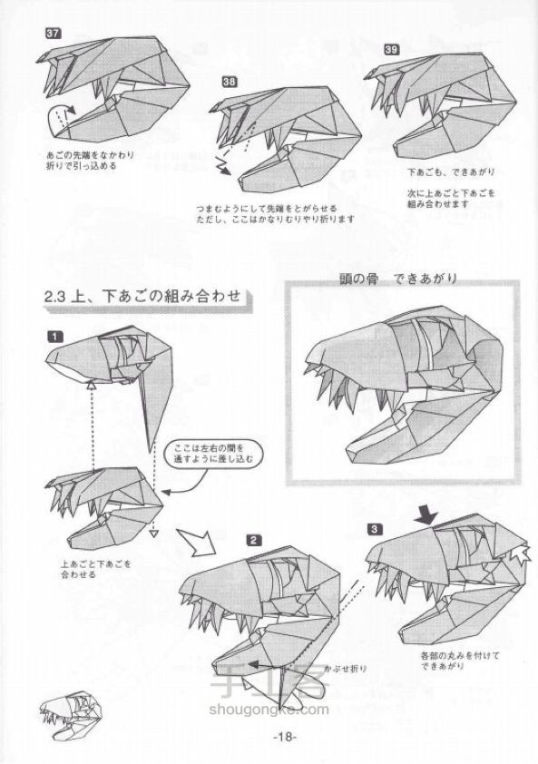 恐龙头部骨架 第11步