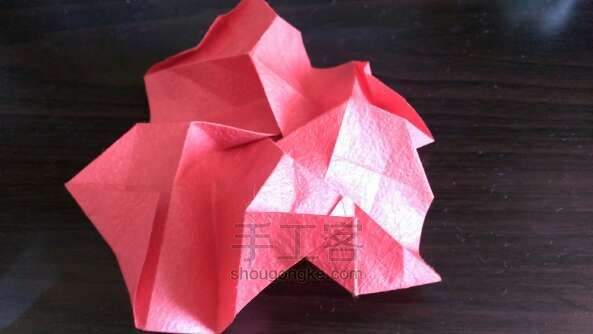 川崎玫瑰折纸教程 第13步