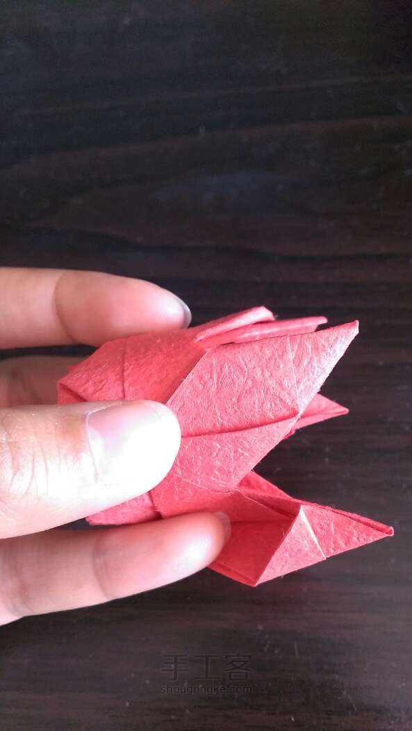 川崎玫瑰折纸教程 第18步