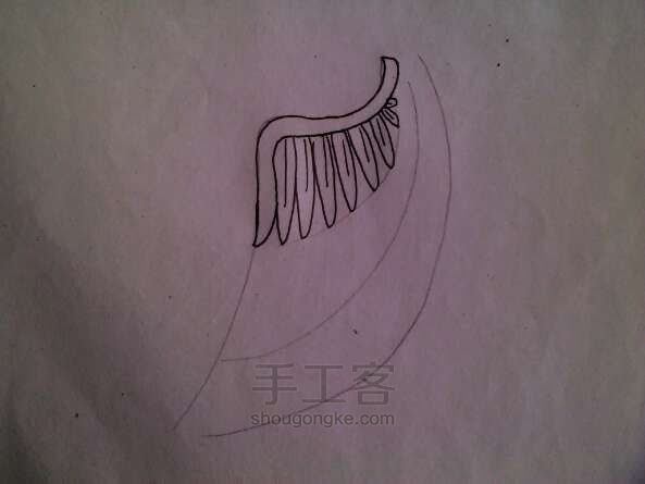 教你画一个简单的天使翅膀 第4步