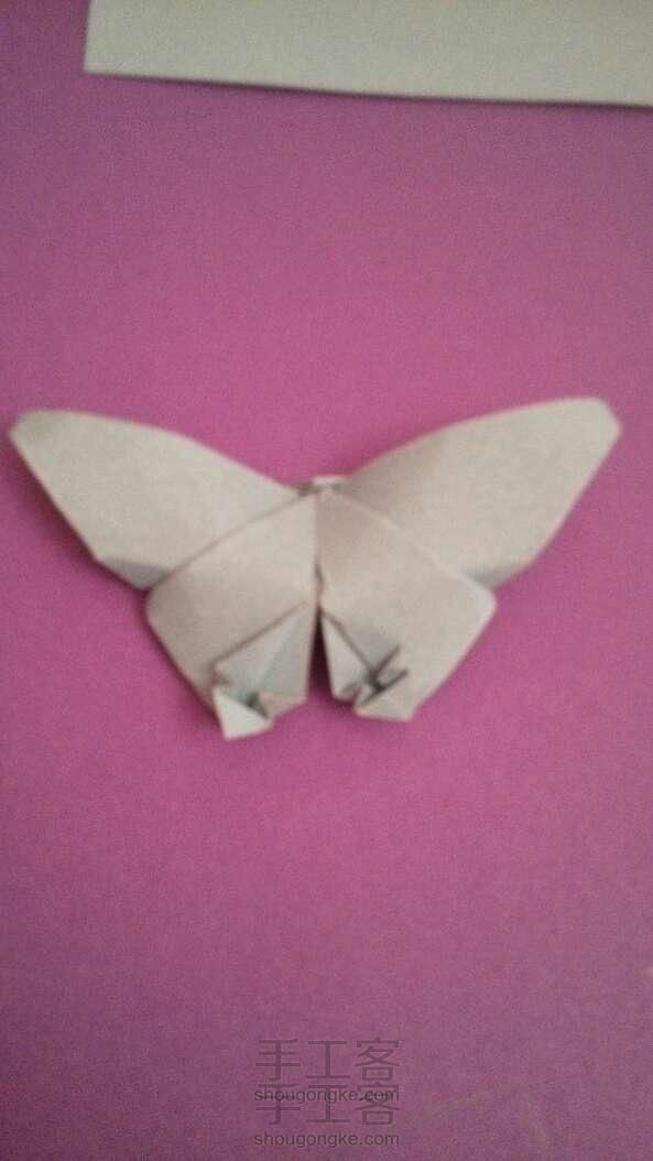 美腻的蝴蝶～立体的折纸哦