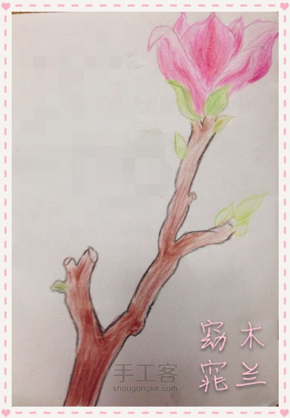 彩铅画：玉兰花 第1步