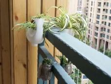 有栏杆就能用的双面花盆，不愁阳台没石板可摆放花盆了 创意手工